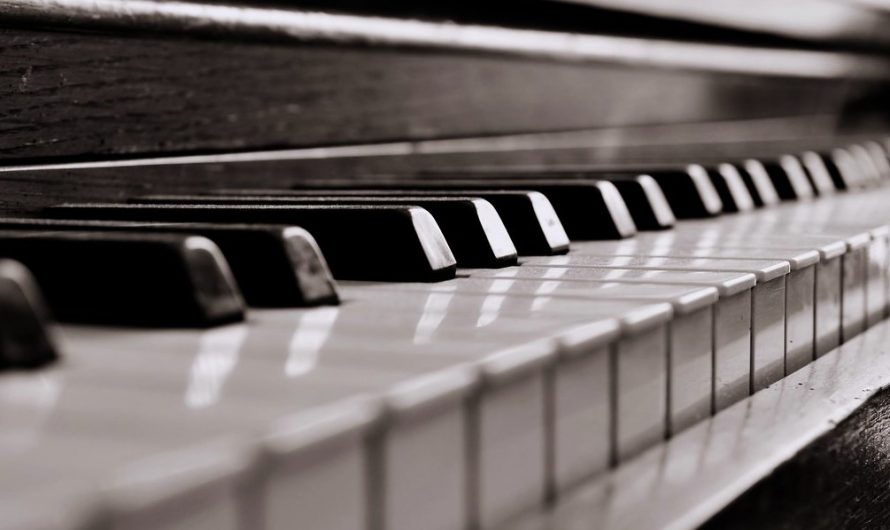 Transport von Musikinstrumenten – sicher ans Ziel